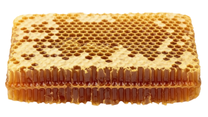 Isolated honeycomb with beeswax, honey, and hexagonal cells, ready for culinary use