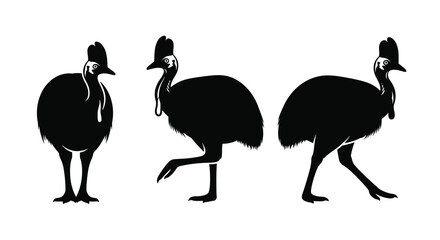 Black Silhouettes of Emus in Various Poses on White Background