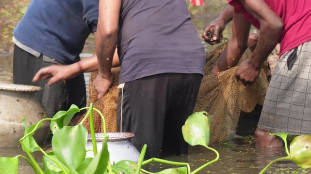 Traditional Net Fishing in River or Pond
