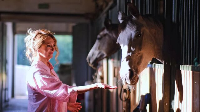 Portrait of woman standing with her horse in the free nature, stop motion