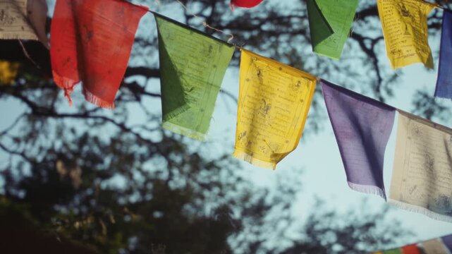 Colorful Tibetan Prayer Flags Fluttering in Soft Morning Sunlight