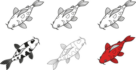 Koi fish illustration set with line art and colored variants flat vector collection isolated on white background for decorative design