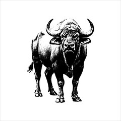 Powerful buffalo vintage illustration