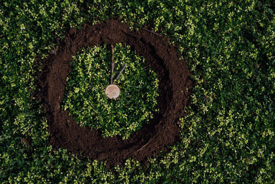 Top view of a clock made of soil on green grass with a wooden marker and two sticks resembling clock hands