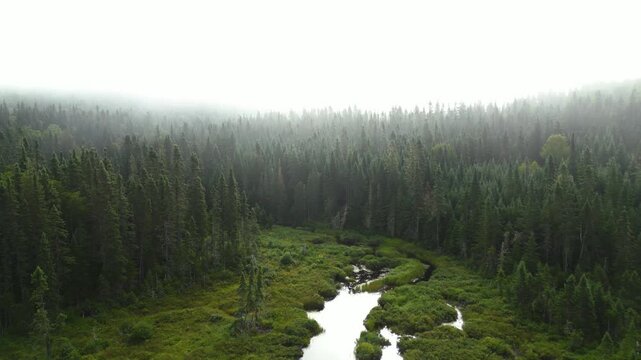 Aerial pullback over winding river cutting through dense marsh wetlands in boreal forest under low morning mist, outlet into lake