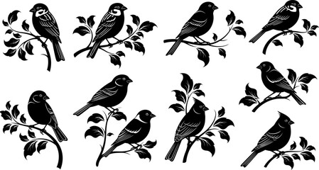 A collection of Flowers and birds silhouettes Birds and twigs