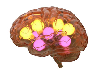 Isolated human brain with colorful illumination on its surface, health and medicine concept