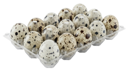 Isolated speckled quail eggs in a plastic tray, nutrient-rich and protein-packed food staple