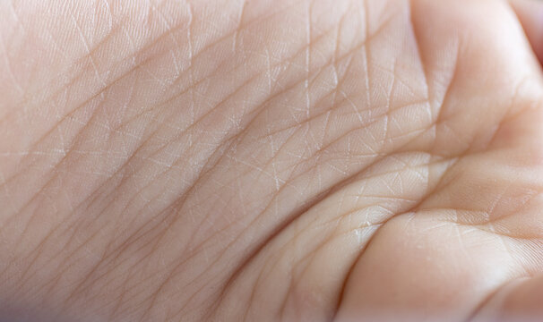 Close-up macro view of the sole surface of an infant's foot,Baby's foot macro shot. Close up on infants foot. Cute small kids fingers and small adorable nails.