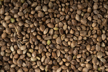 Hemp seeds pile texture background