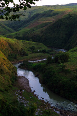 river in the mountains in summer