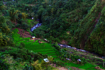 spring in the mountains