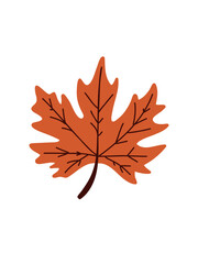 Obraz premium autumn maple leaf illustration on white background