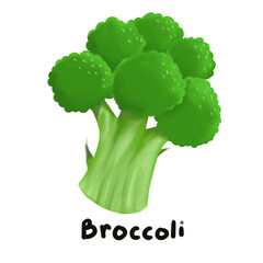 broccoli isolated on white background