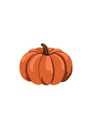 orange pumpkin illustration for autumn design