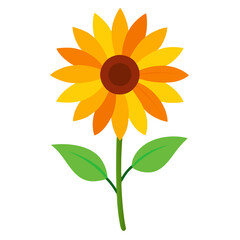 Naklejka premium helianthus salicifolius with leaves