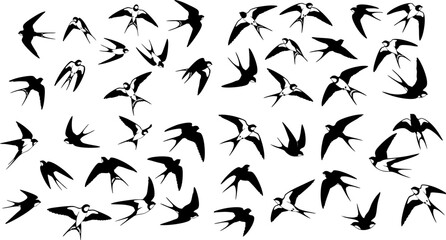 Collection of small white bird silhouettes in various flight poses against a solid black background