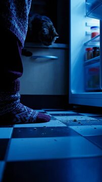 Curious Cat Observes from the Kitchen Counter While a Person Stands by the Open Refrigerator in a Cozy, Dimly Lit Room