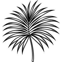 palm tree silhouette