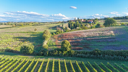 Aerial view of rolling hills and vineyards bask in the warm Tuscan sun, with a distant villa punctuating the landscape's serene green and gold, Siena, Tuscany, Italy.