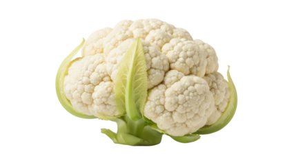 Isolated Fresh Cauliflower Head with Green Leaves, Nutrient-Rich Vegetable, Vegetarian Food