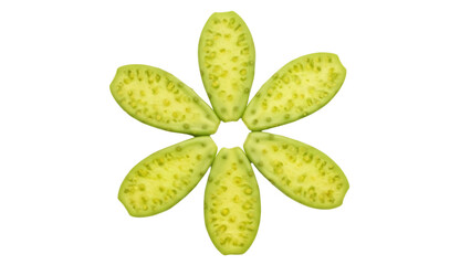 Isolated prickly pear cactus paddles make a flower shape, healthy eating, produce is shown