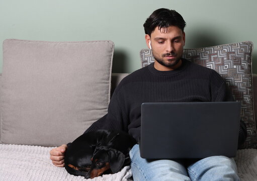 young man working on laptop while petting his dog on sofa, home office, remote work