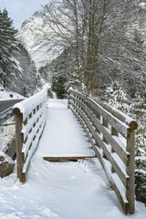 Winter magic in the Julian Alps. Lake Predile and the forests at its foot.