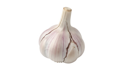 Isolated bulb of garlic, a pungent aromatic flavor enhancer and a healthy natural ingredient