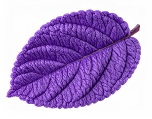 Vivid purple leaf with detailed texture and stem