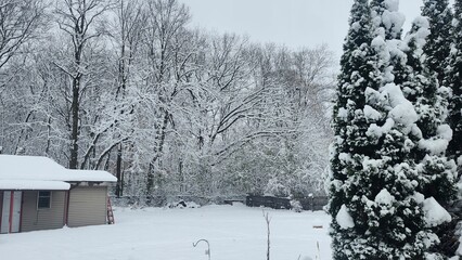 Winter Stillness &ndash; Snow-Covered Trees and Peaceful Countryside Backyard After a Fresh Snowfall