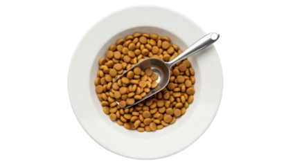 Isolated round dry pet food in bowl with scoop ready to feed to domestic animal companion