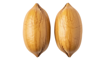Isolated closeup of two pecans in the shell showing texture, in natural light, for design