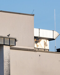 Bird resting on the rooftop of a modern building under a clear blue sky