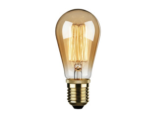 Obraz premium Isolated Vintage Edison Bulb with Intricate Filament, Modern and Antique Blended Design