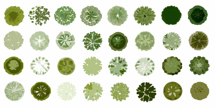 An assortment of top down views of various green trees and foliage