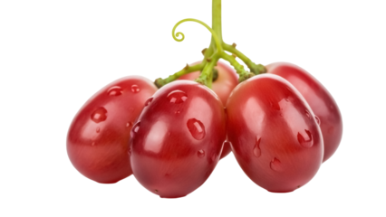 Isolated close-up of red globe grapes, a fresh fruit on stem, ready for dessert or snack time