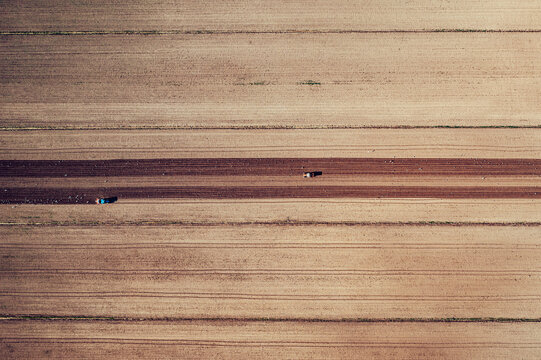 Aerial view of warm, sun-baked fields patterned with parallel lines and contrasting textures, punctuated by small vehicles, Primosten, Sibenik-Knin County, Croatia.