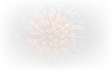 Fototapeta premium Festive Fireworks Explosion Isolated on Transparent Background PNG