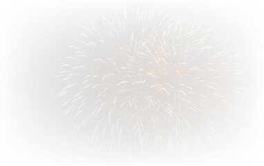 Obraz premium Colorful Celebration Fireworks Salute PNG with Sparkling Burst