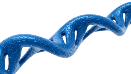 Blue D N A double helix model with cracked texture isolated on a transparent background 3D model