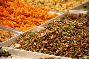 Fried insects are a popular street food in Thailand.