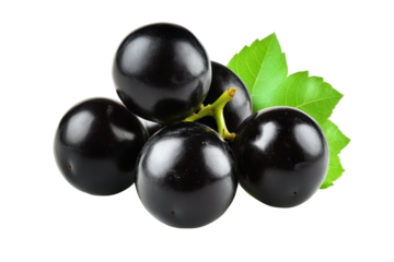 Fresh dark grapes with green leaves isolated on transparent background. Fresh black grapes with green leaves isolated on white background.