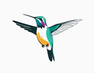Hummingbird in illustration in brush stroke painting,