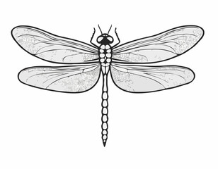 Elegant dragonfly illustration in black and white woodcut style