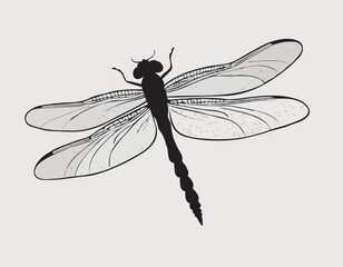 Elegant dragonfly illustration in black and white woodcut style