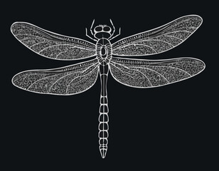 Elegant dragonfly illustration in black and white woodcut style