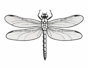 Elegant dragonfly illustration in black and white woodcut style