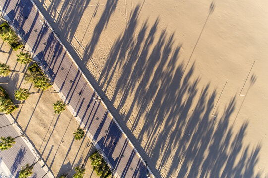 Aerial view of palm trees casting long shadows on the beach and promenade, creating a striking pattern of light and shade, Valencia, Valencian Community, Spain.