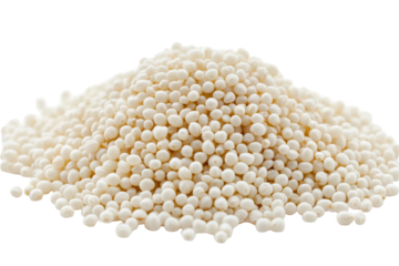 Pile of small white and yellow pearl barley isolated on transparent background. Pile of pearl barley isolated on white background.